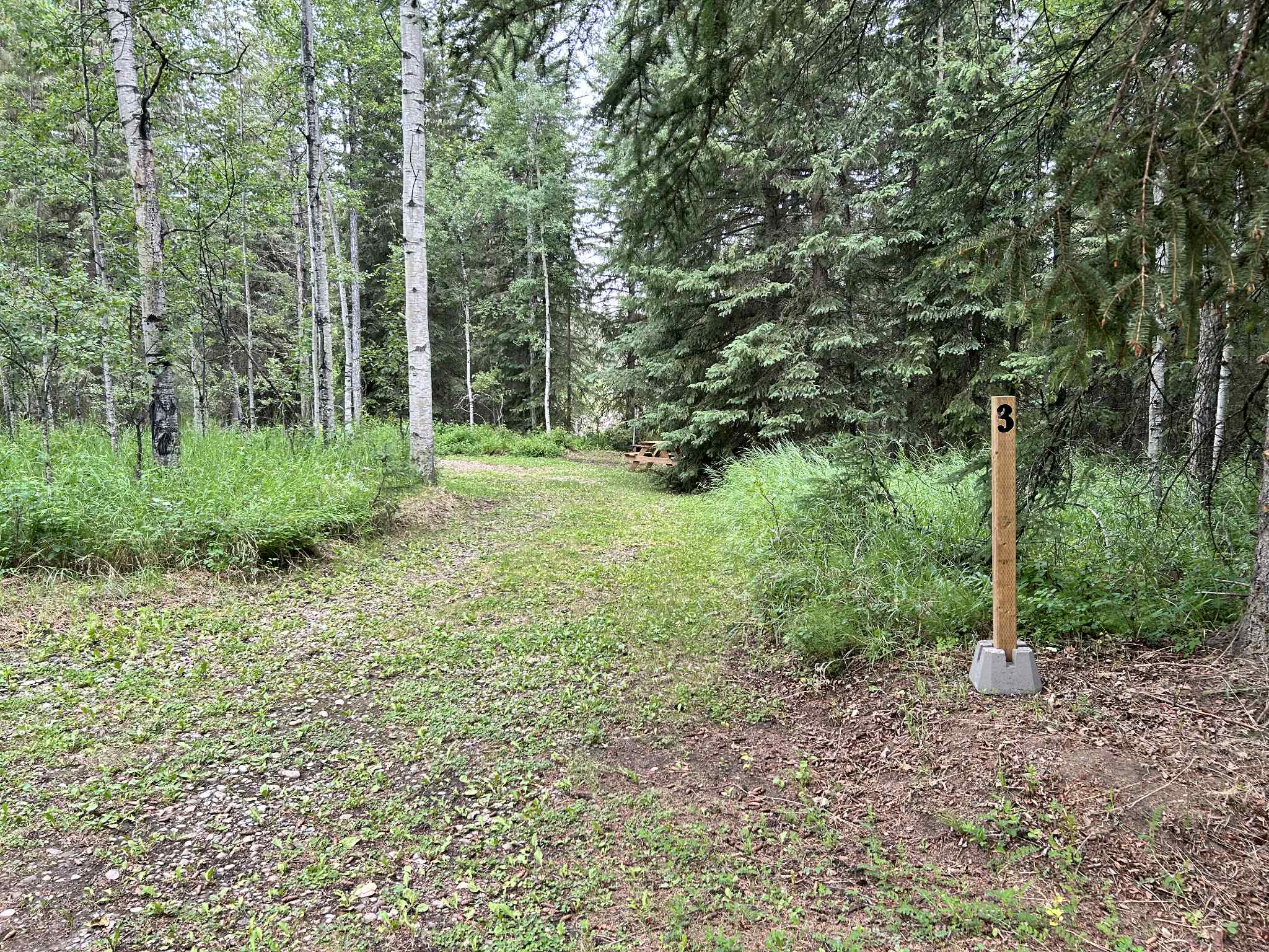 Making Memories: Why Tystar Campground is Your Perfect July Long Weekend Destination