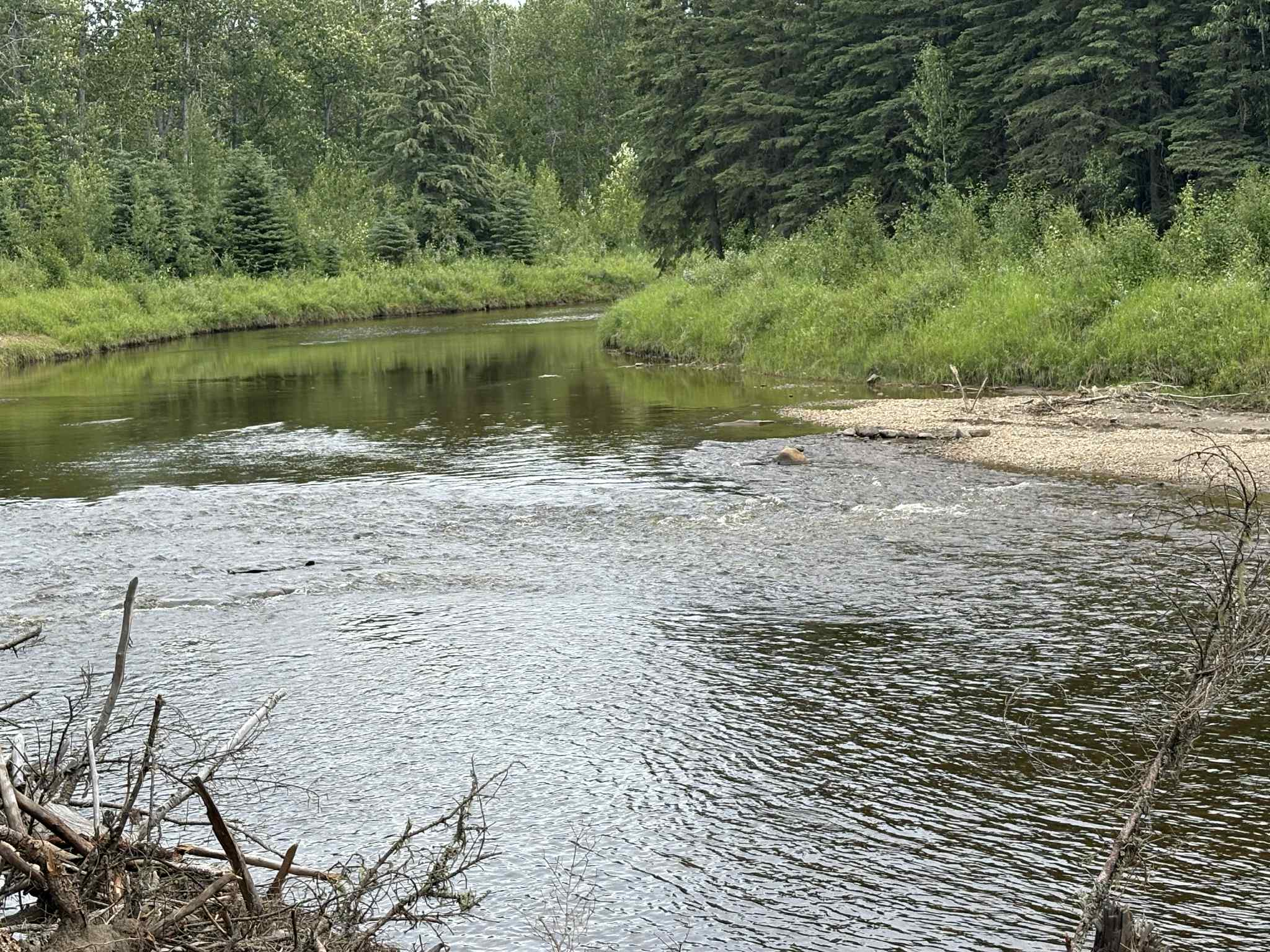 Unplug and Recharge: The Healing Power of Nature at Tystar Campground