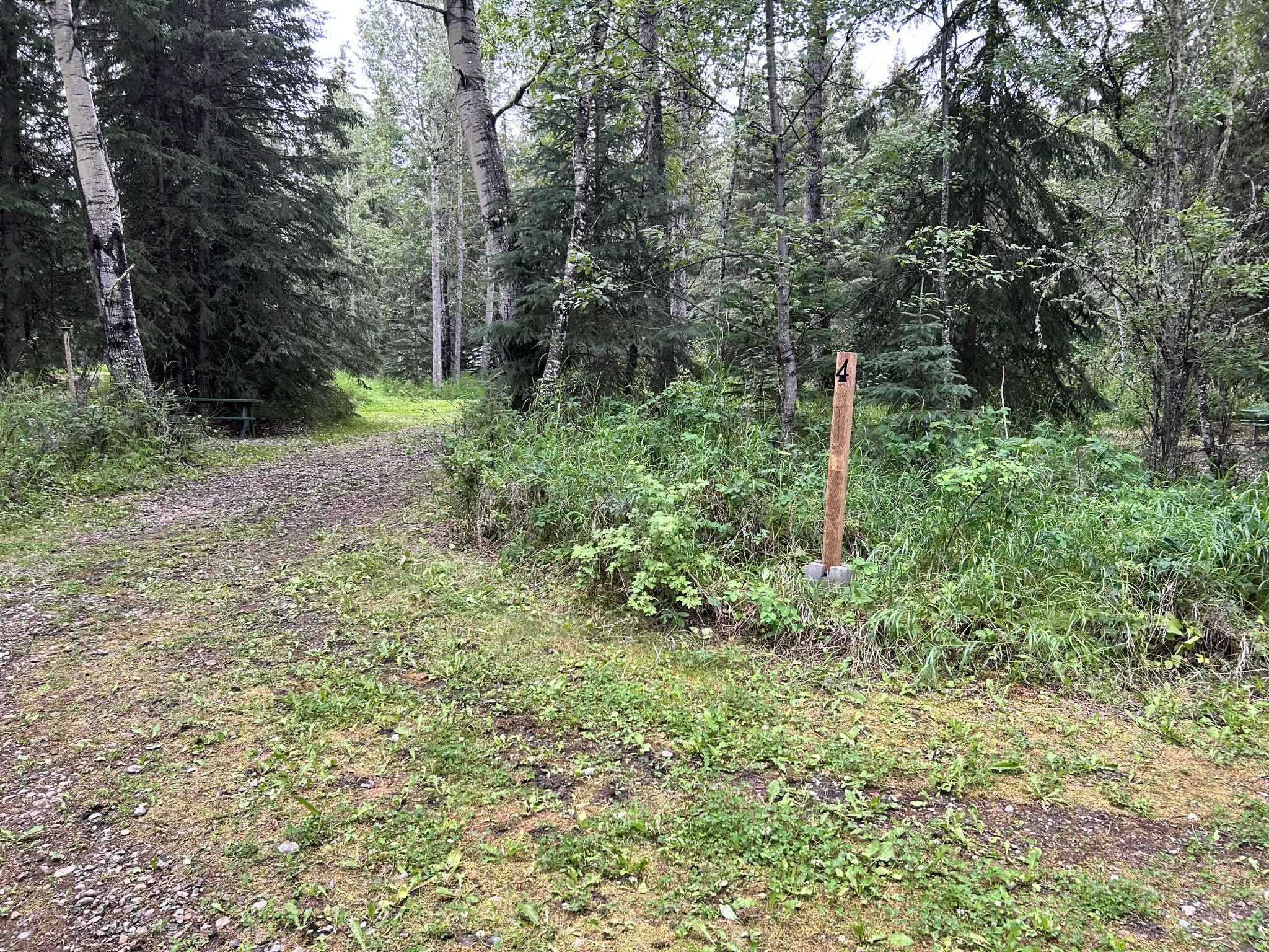 Beyond Your Campsite: Top 5 Must-Visit Spots Near Edson, AB